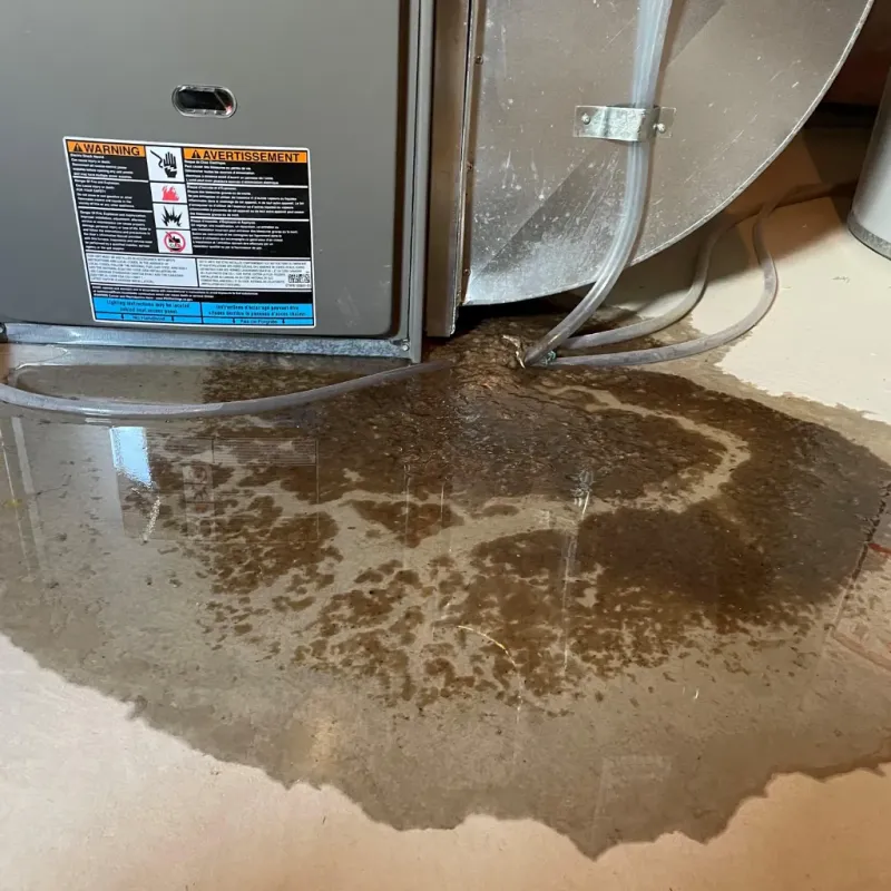 Appliance Leak Cleanup in Skyline-Ganipa, NM